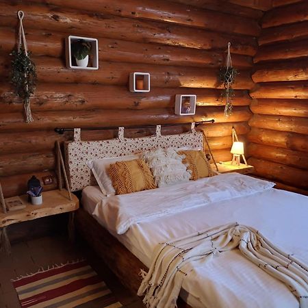 Cabana Rustic Balea Cîrţişoara Buitenkant foto