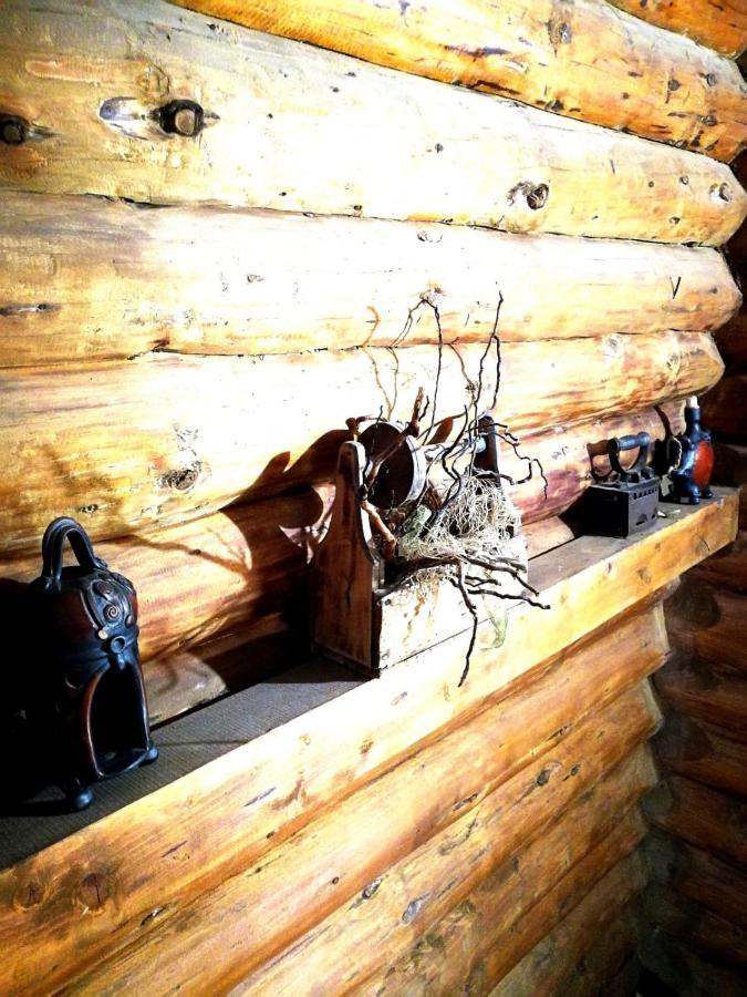 Cabana Rustic Balea Cîrţişoara Buitenkant foto
