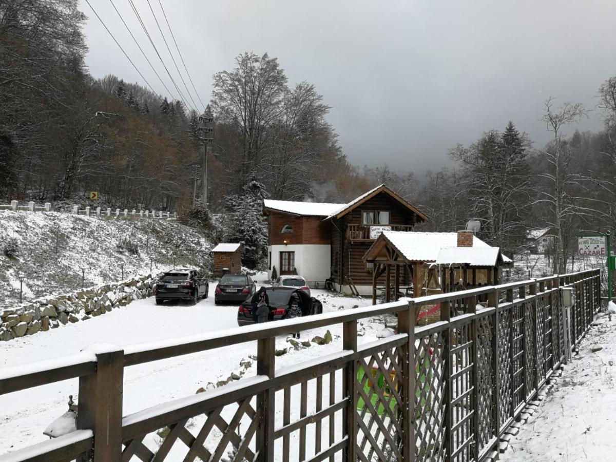 Cabana Rustic Balea Cîrţişoara Buitenkant foto