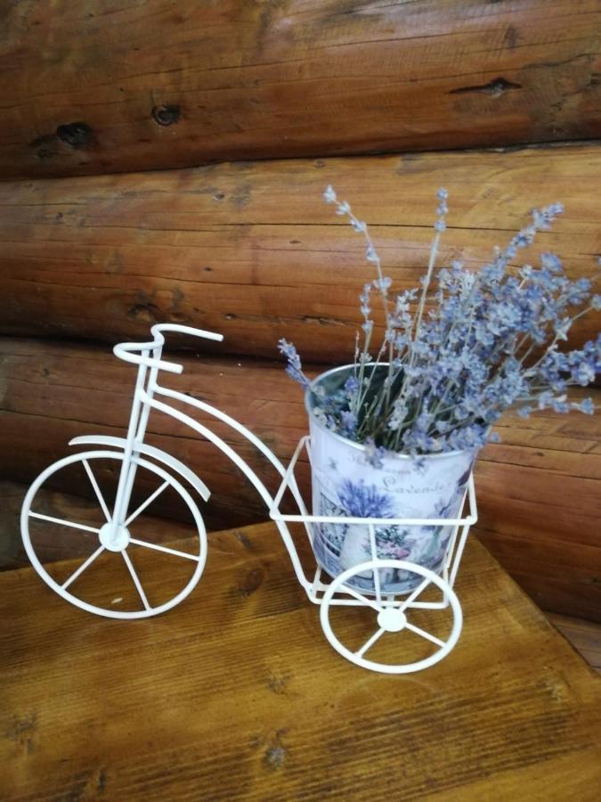 Cabana Rustic Balea Cîrţişoara Buitenkant foto
