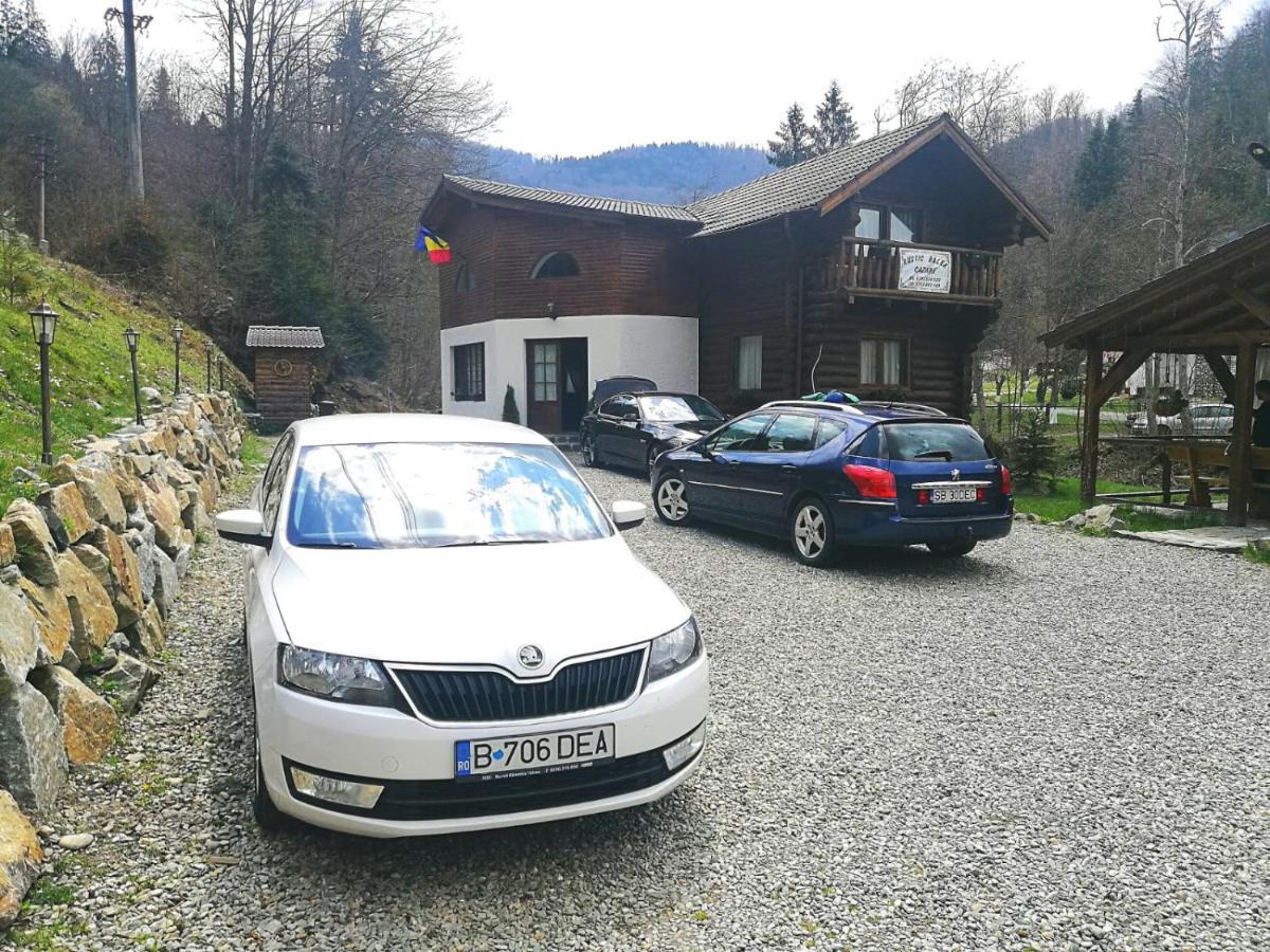 Cabana Rustic Balea Cîrţişoara Buitenkant foto