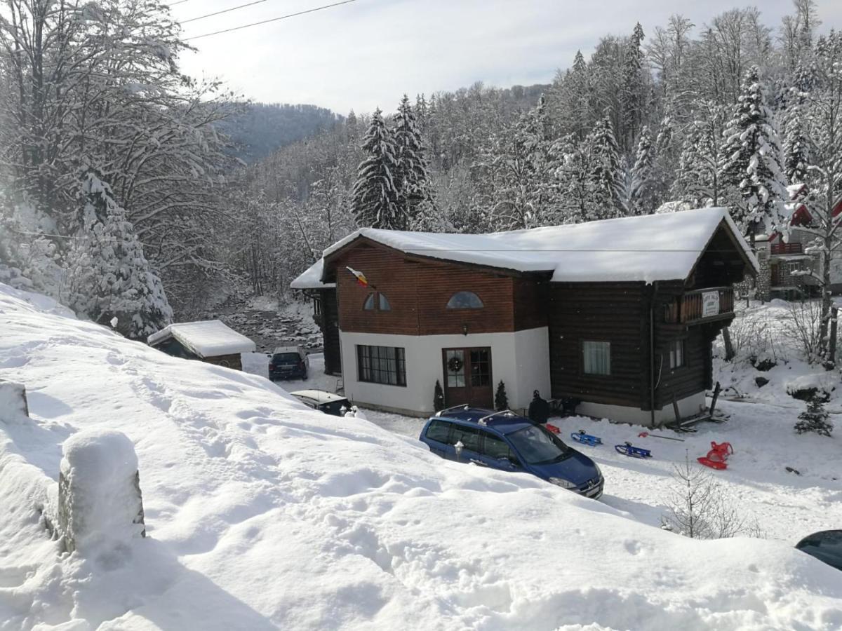 Cabana Rustic Balea Cîrţişoara Buitenkant foto