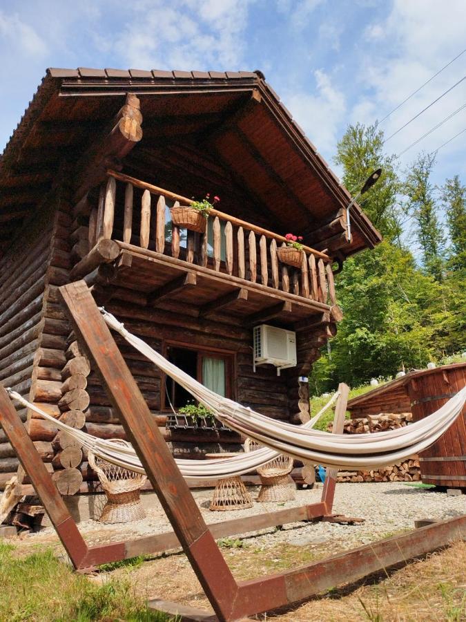 Cabana Rustic Balea Cîrţişoara Buitenkant foto