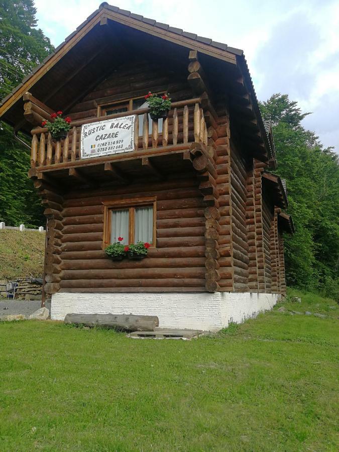 Cabana Rustic Balea Cîrţişoara Buitenkant foto