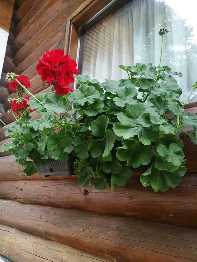 Cabana Rustic Balea Cîrţişoara Buitenkant foto