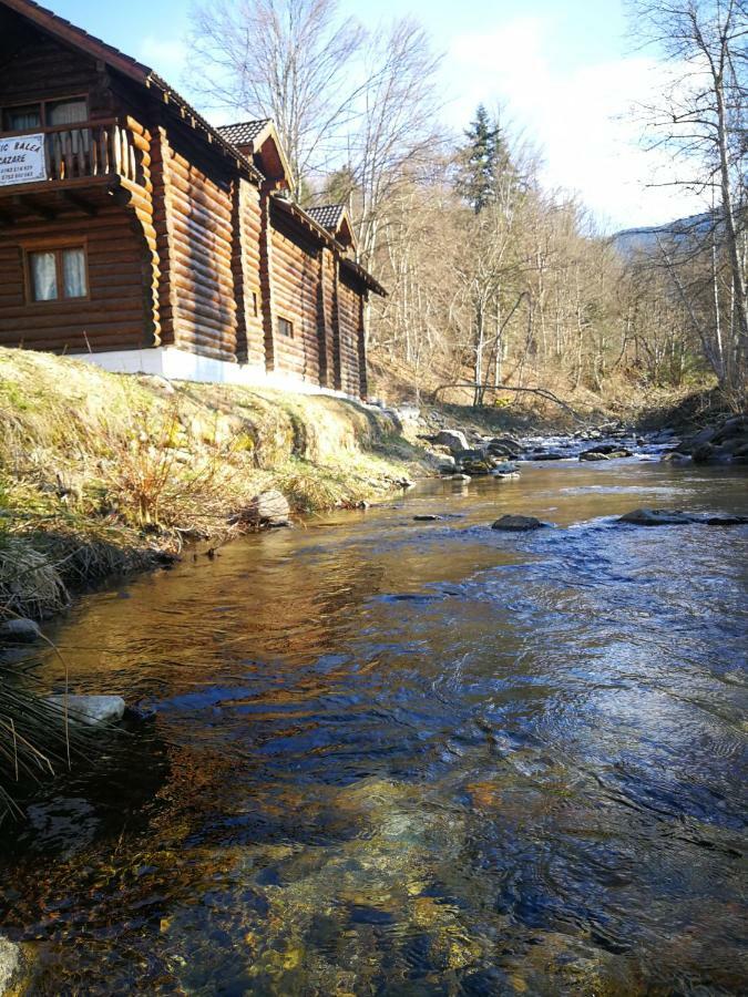 Cabana Rustic Balea Cîrţişoara Buitenkant foto