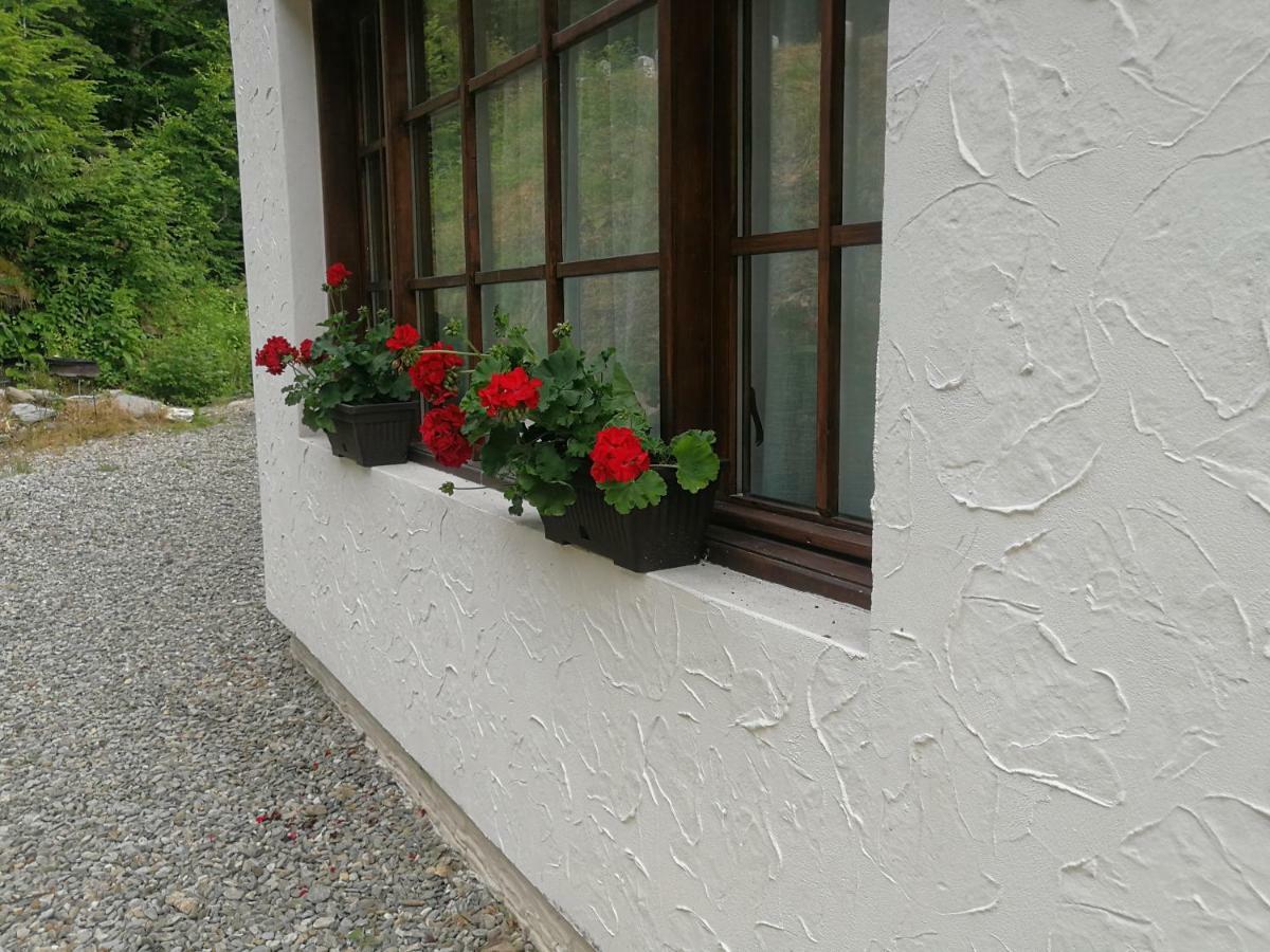 Cabana Rustic Balea Cîrţişoara Buitenkant foto