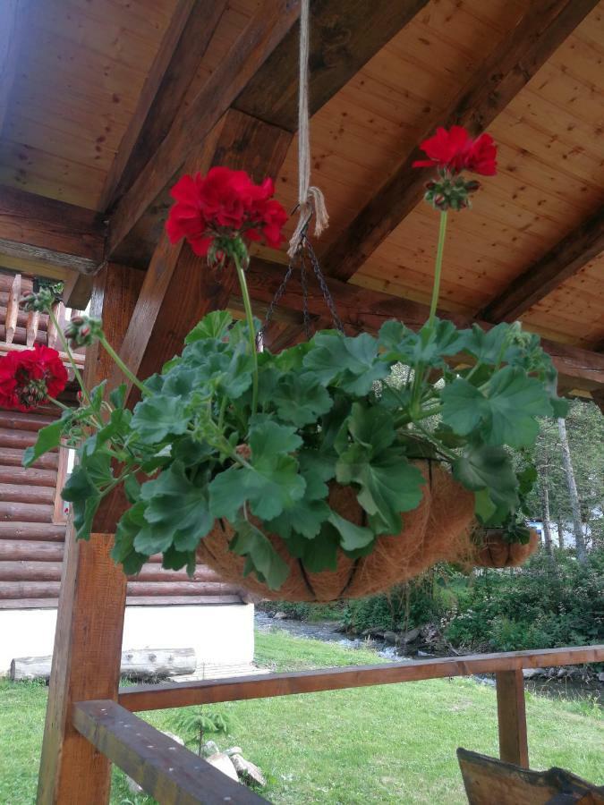 Cabana Rustic Balea Cîrţişoara Buitenkant foto