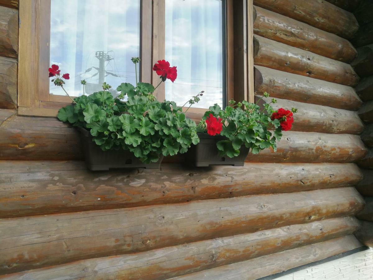 Cabana Rustic Balea Cîrţişoara Buitenkant foto